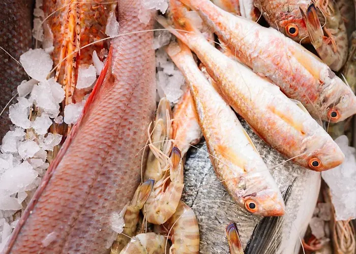 Georgalas Sun Nea Kallikrateia