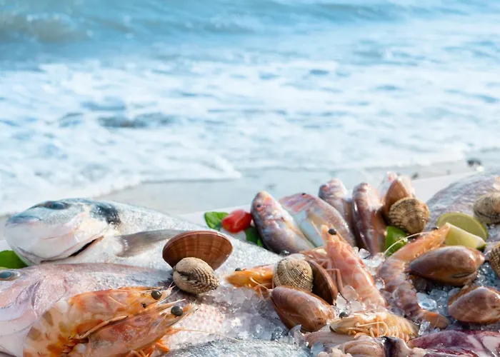 Georgalas Sun 3* Nea Kallikrateia