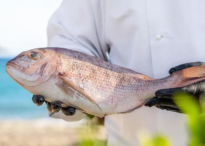 Georgalas Sun Nea Kallikrateia