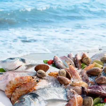 Georgalas Sun 3* Nea Kallikrateia