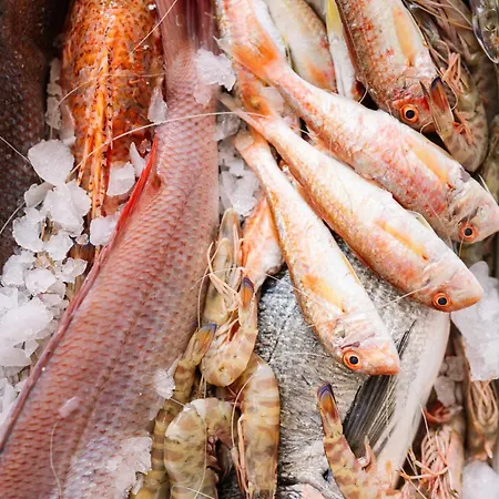 Georgalas Sun Nea Kallikrateia